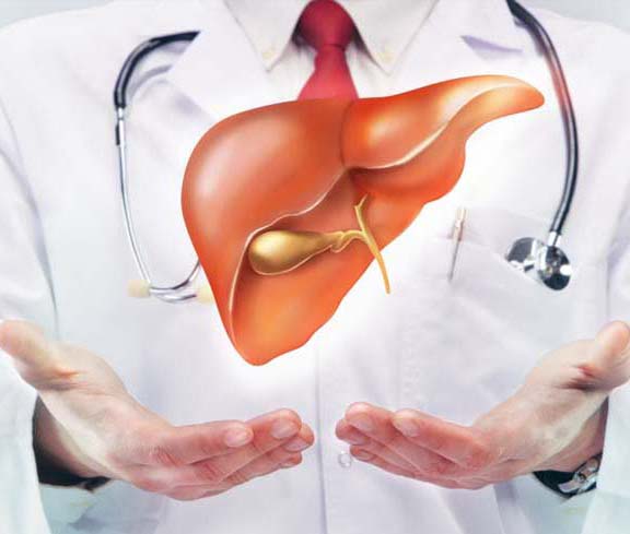 Liver Transplant